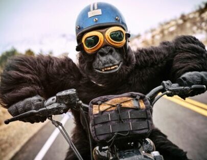 Nude Portraits to Ducatis:The Curious Case of SMSF Collectibles